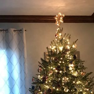 Meet your Posher, Ella