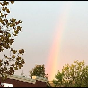 Meet your Posher, Pamela