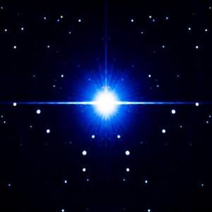 Meet your Posher, Ricky