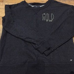 Gray American Eagle sweatshirt. NWOT