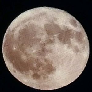 Meet your Posher, Lupe