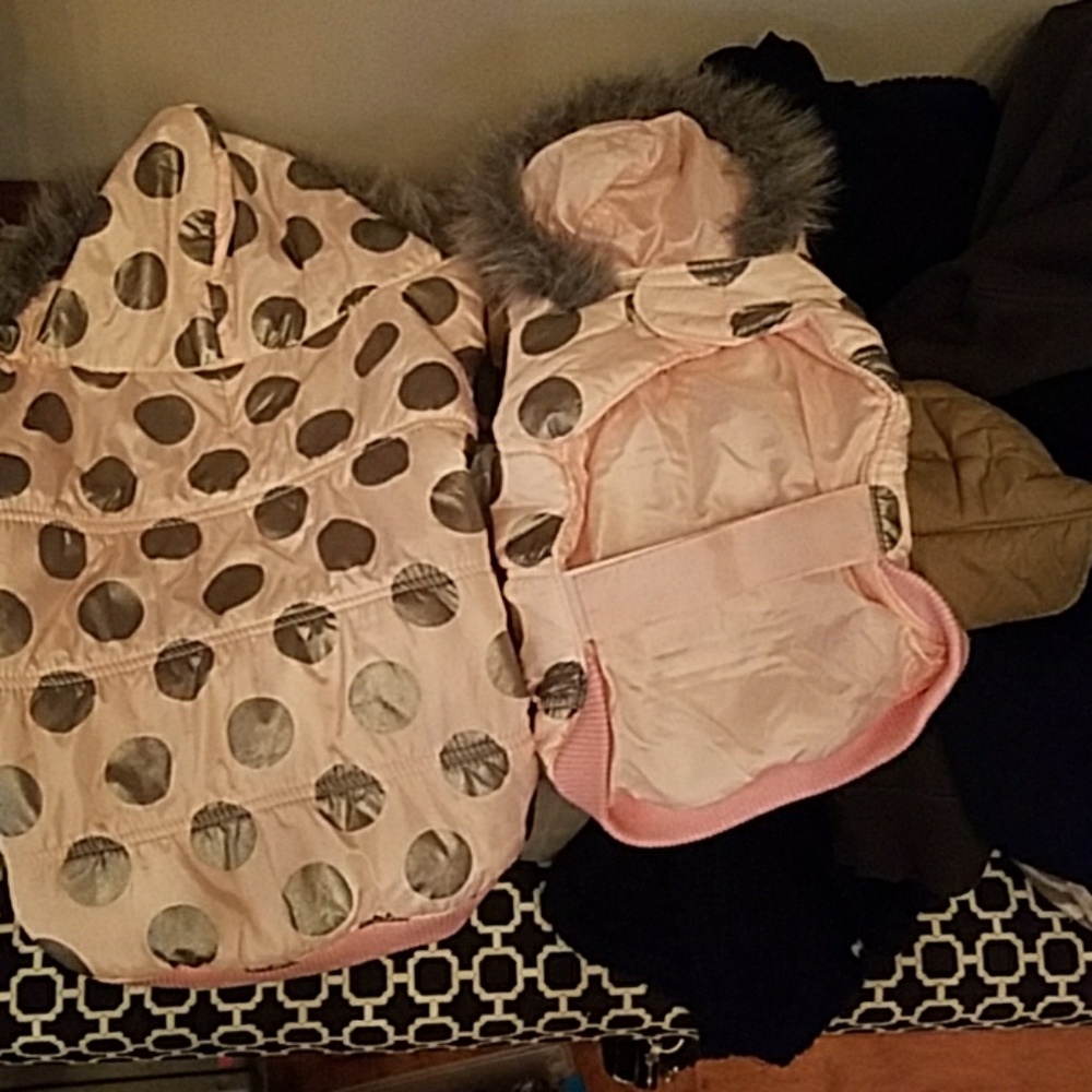 Fabulous variety of Winter DOG COAT Bundle