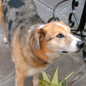 Meet your Posher, Marlene