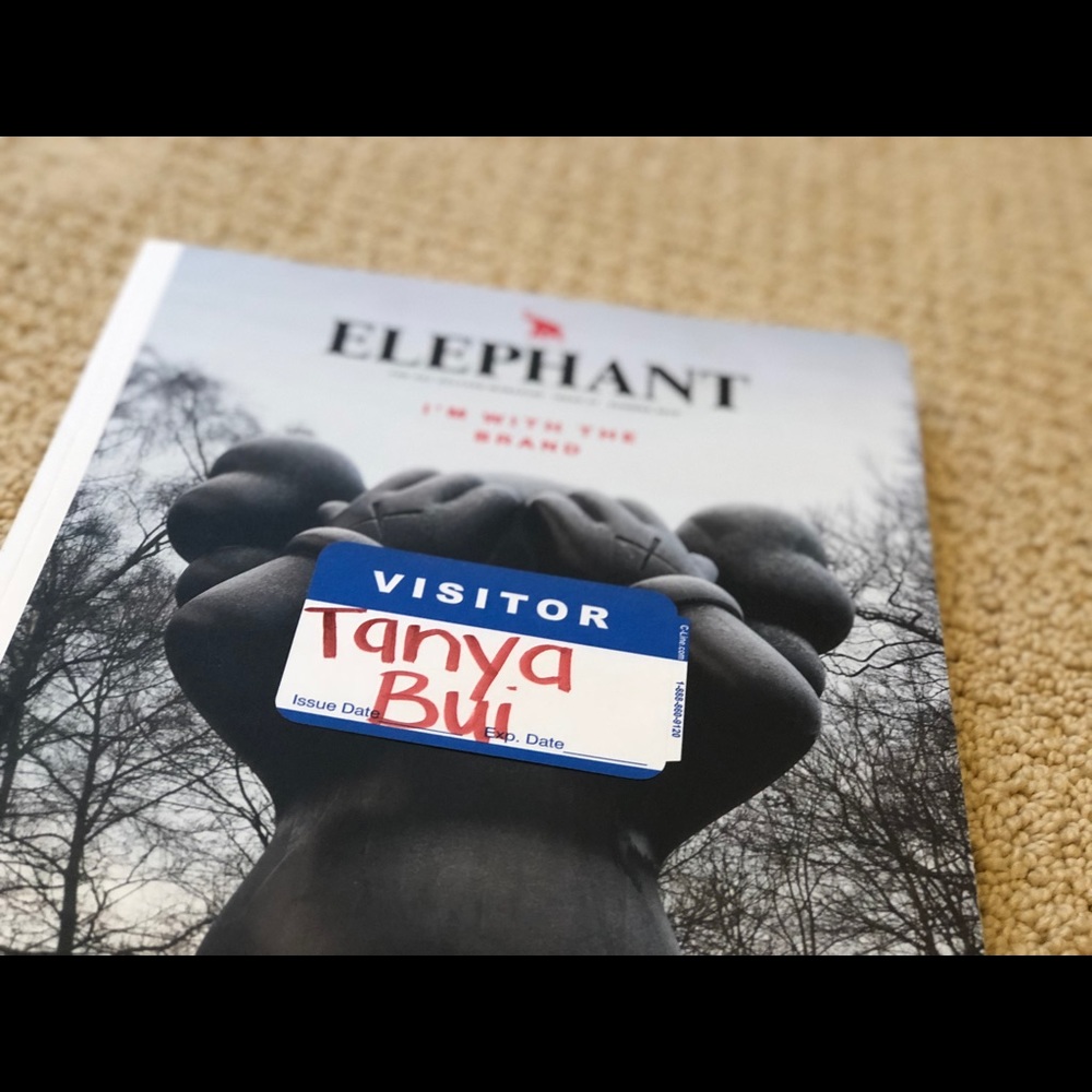 Magazine Elephant Kaws