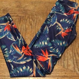 Goldsheep birds of paradise leggings