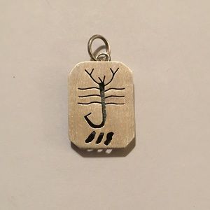 Scorpio Zodiac 925 sterling silver charm