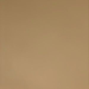 Meet your Posher, Ashlie