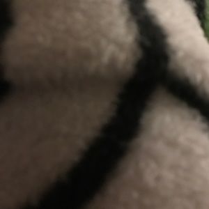 Meet your Posher, Shatina