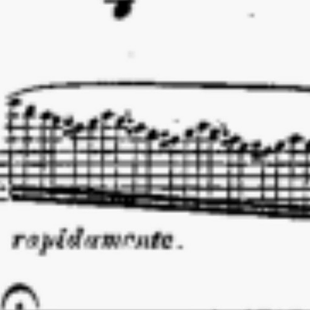 Meet your Posher, Miranda