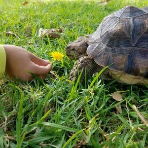 Meet your Posher, Wendy