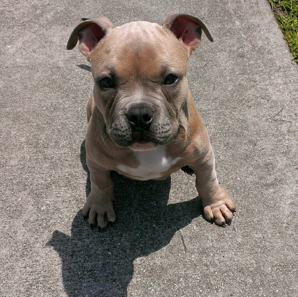 Meet your Posher, Danielle