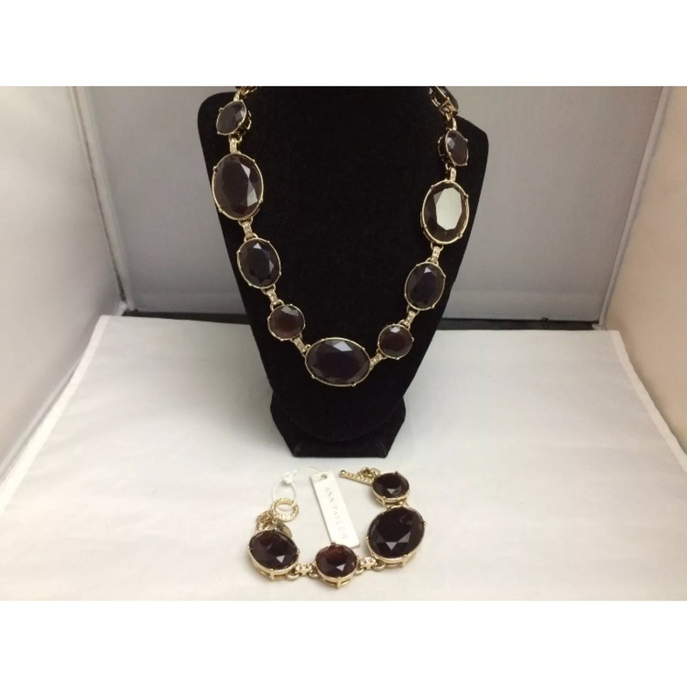 NWTS Anne Taylor Demi Purple/Brown Lucite Set