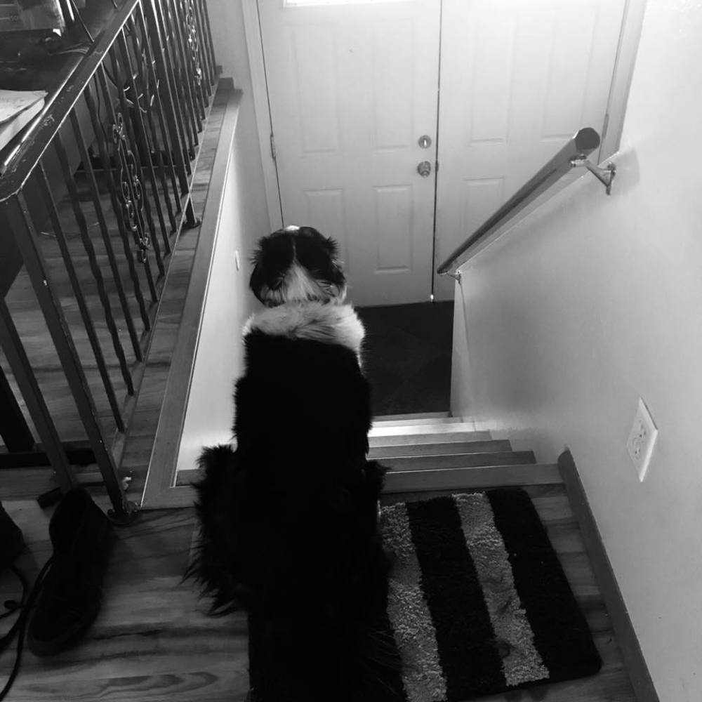 Meet your Posher, Araminta