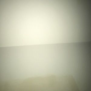 Meet your Posher, George