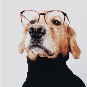 Meet your Posher, Katelin