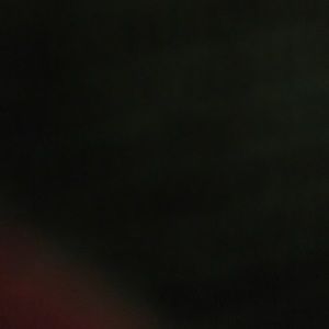 Meet your Posher, Ladonna