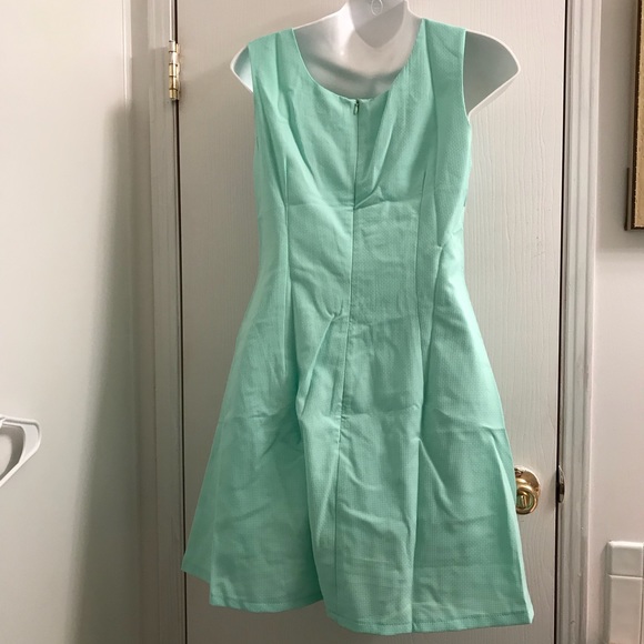 (Small) Floral Vintage- Inspired Lace Collar Dress - Picture 5 of 5