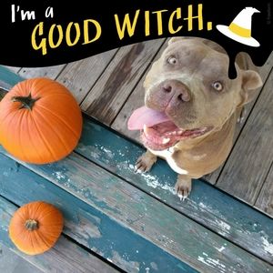 Meet your Posher, Sheena