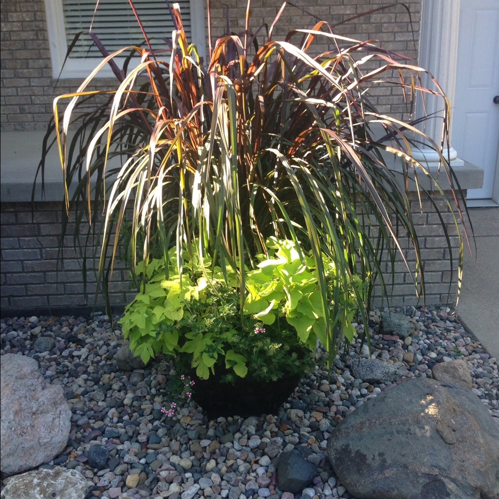 Meet your Posher, Linda