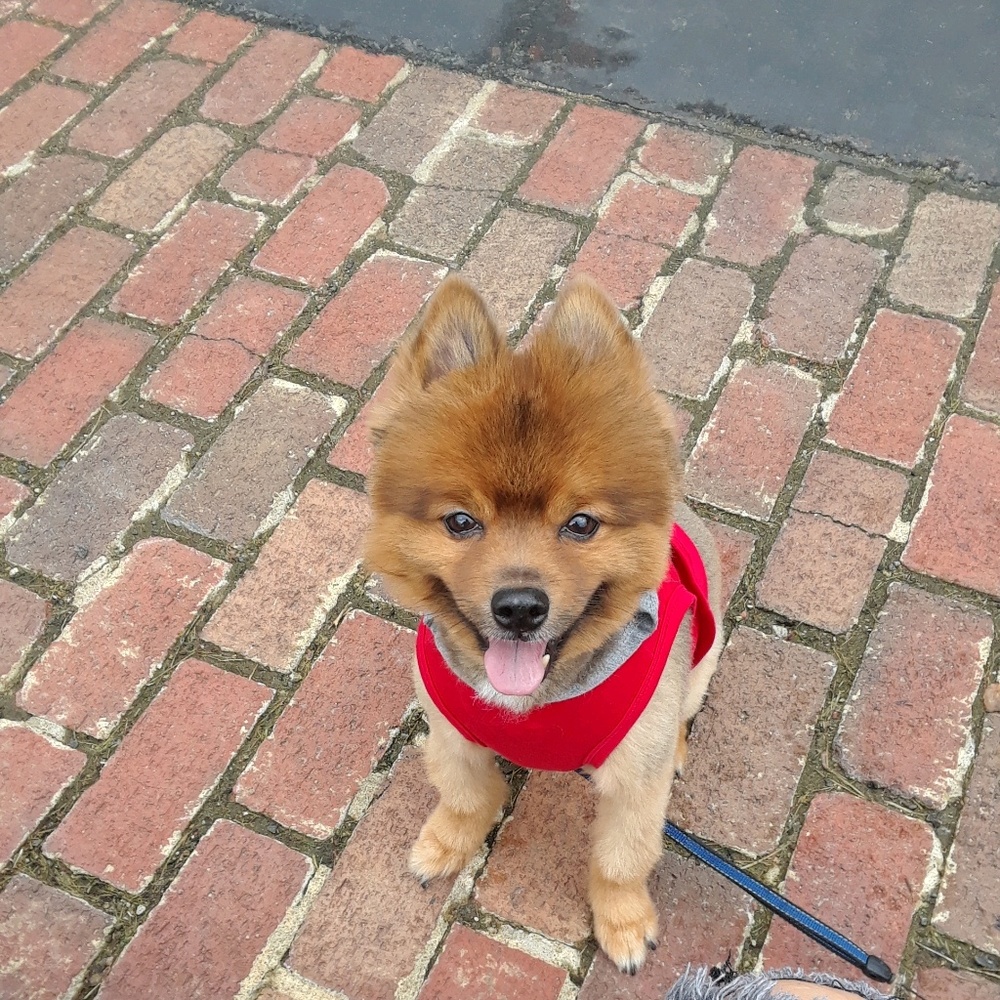 Meet your Posher, Natalie