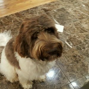 Meet your Posher, Sharon