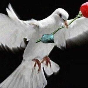 Meet your Posher, H. janet