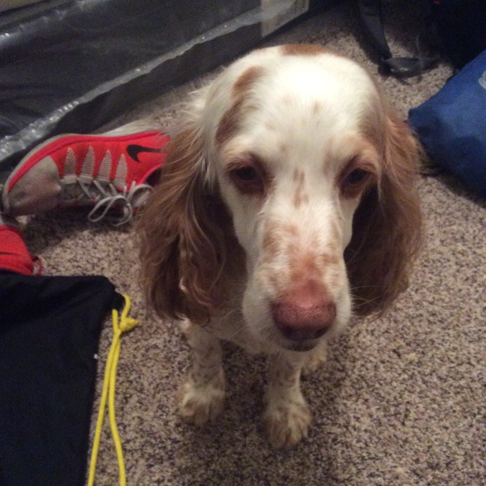 Meet your Posher, Carla