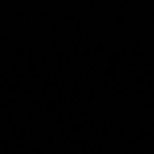 Meet your Posher, Jackson