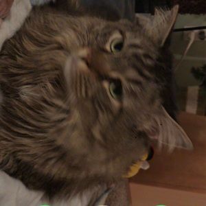 Meet your Posher, Carla