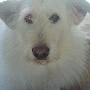 Meet your Posher, Donovan