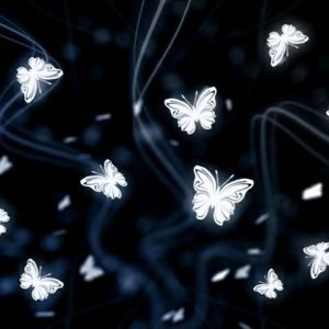 Meet your Posher, Angel