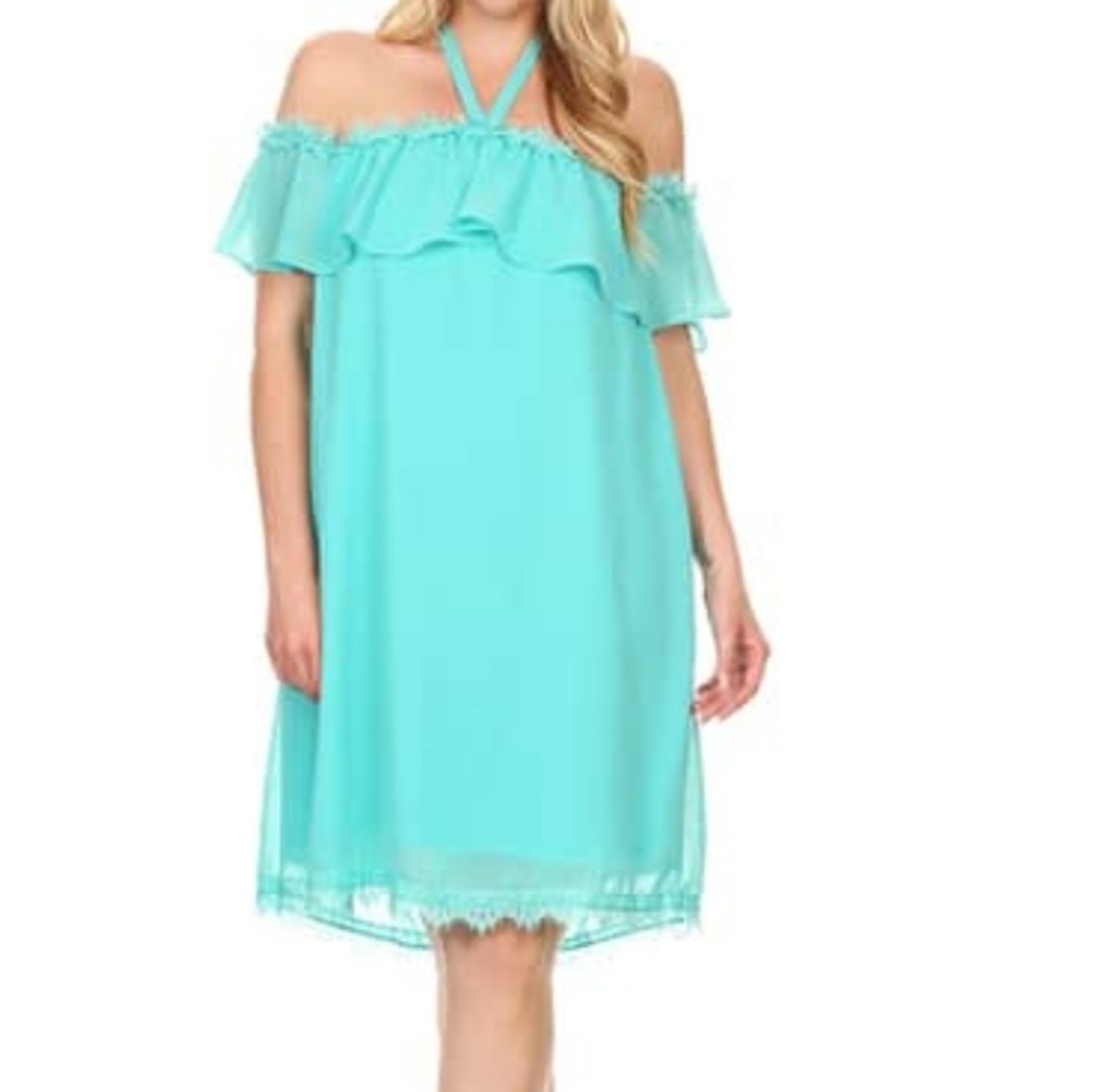 Womens Plus Size Off the Shoulder Dress