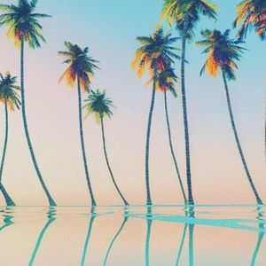 Meet your Posher, Norma