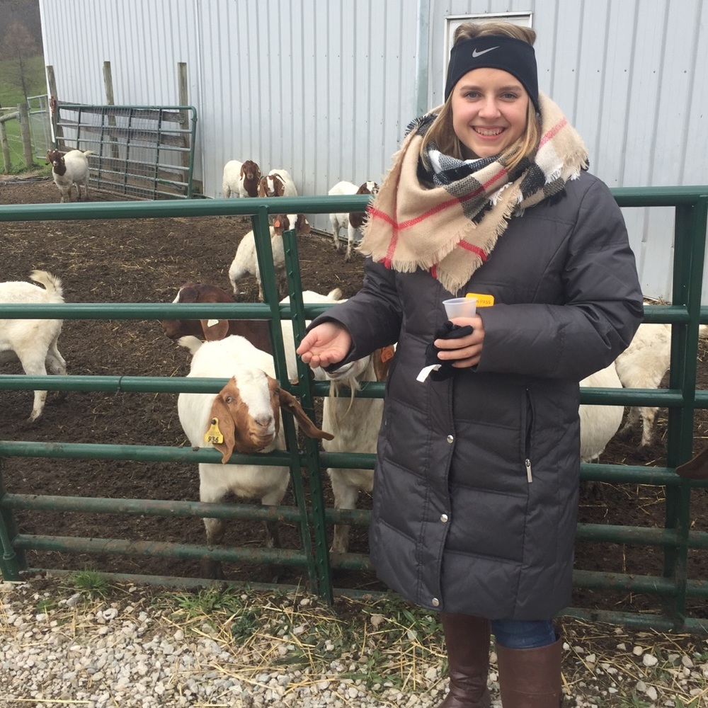 Meet your Posher, Rachel