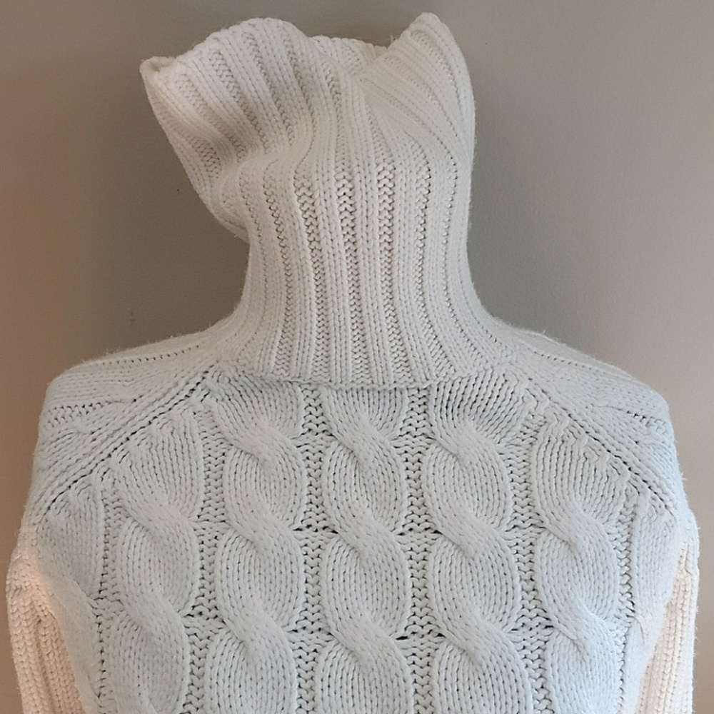 The Limited Turtleneck Sweater