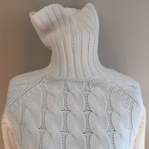 The Limited Turtleneck Sweater