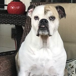 Meet your Posher, Lesley