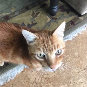 Meet your Posher, Johanna