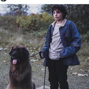 Meet your Posher, Jesse