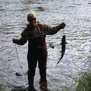 Meet your Posher, Sherri