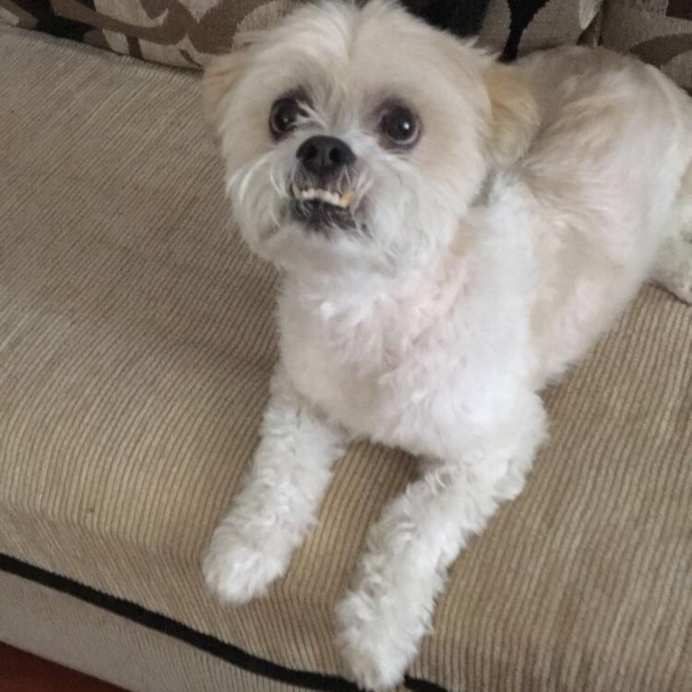 Meet your Posher, Jayson