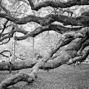 Meet your Posher, Dan