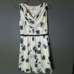 FLASH SALE: NWT Cowl Neck Loft Dress