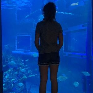 Meet your Posher, Kylah