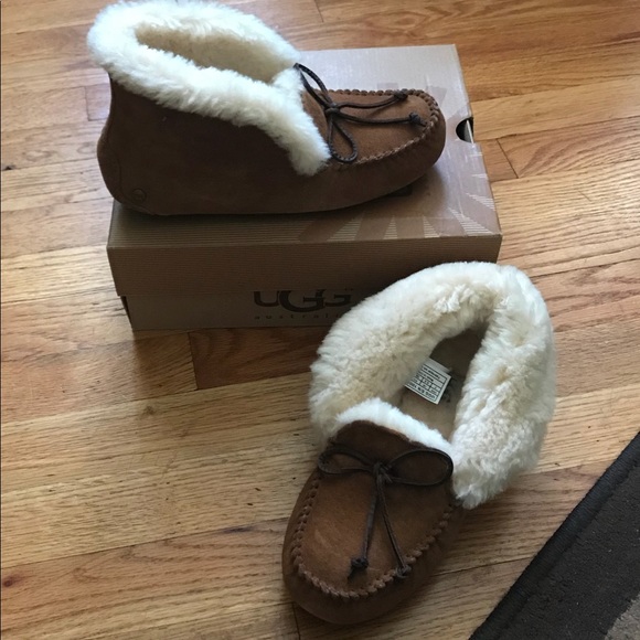 Size 7 UGGS - Picture 1 of 1