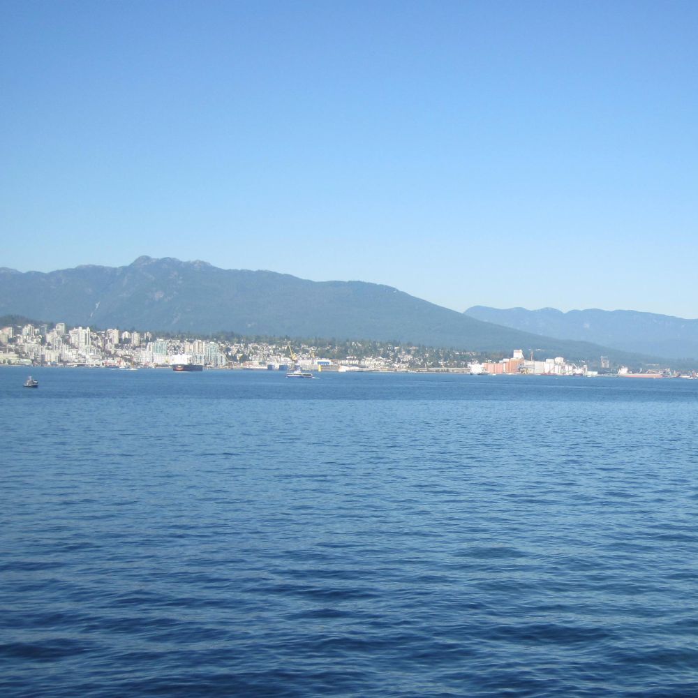 Meet your Posher, Bob