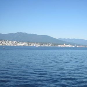 Meet your Posher, Bob