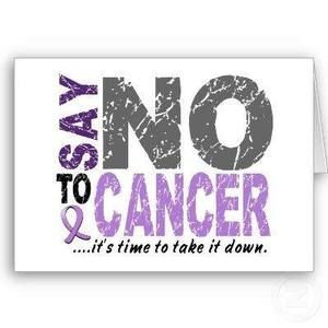 Meet your Posher, Rena