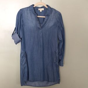 Tunic Shirt Dress by Cloth & Stone