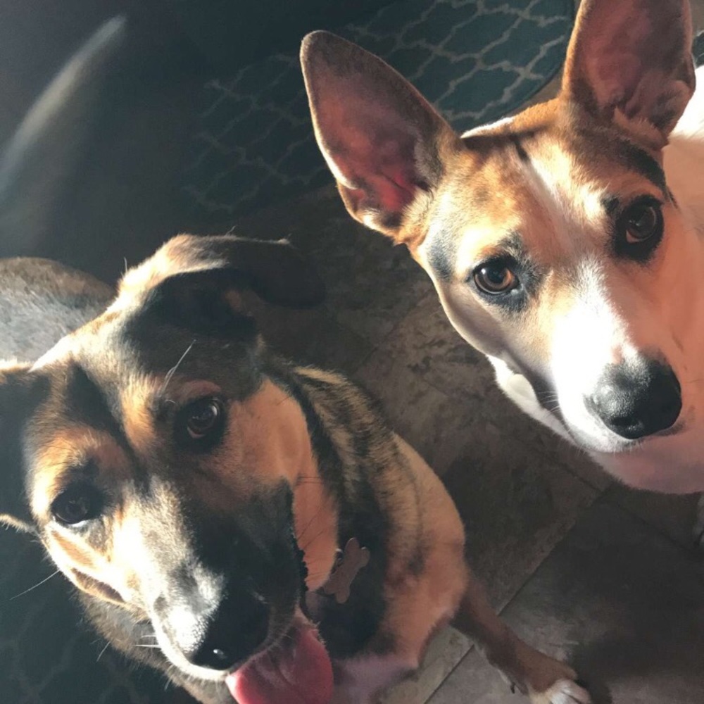 Meet your Posher, Hannah